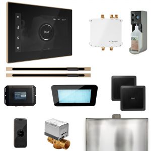 BLS1-BKXLBB - Mr Steam Bliss Max Steam Shower Pkg w/iSteamX Control and Linear Steamhead in Black Brushed Bronze