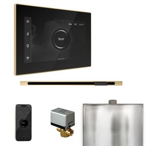 BXLBKPB - Mr Steam XButler Steam Shower Pkg w/iSteamX Control and Linear Steamhead in Black Polished Brass
