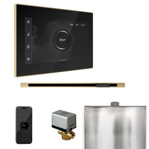 BXLBKSB - Mr Steam XButler Steam Shower Ctrl Pkg w/iSteamX Control and Linear Steamhead in Black Satin Brass