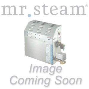 Mr Steam Parts TIMER 30MIN W/PLATE & VENT