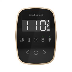 TFBKBB - Mr Steam TempoFlex Steam Shower Control and Steamhead in Black Brushed Bronze